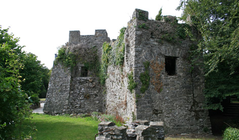  Castle Ruins